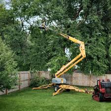 Best Emergency Tree Removal  in Danville, KY
