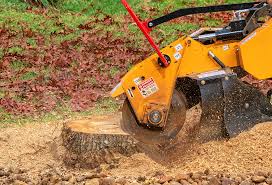 Best Aeration Services  in Danville, KY