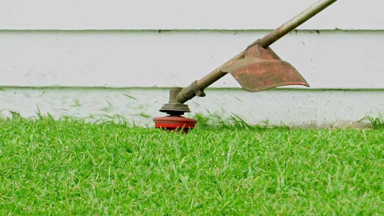 Best Tree Mulching  in Danville, KY