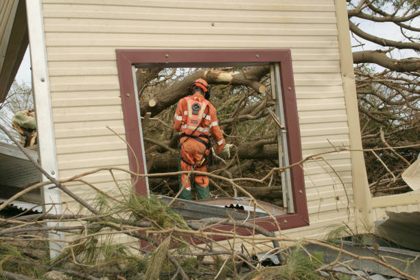 Best Tree Risk Assessment  in Danville, KY